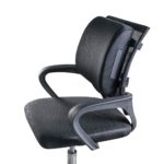 Back Support for Office Chairs